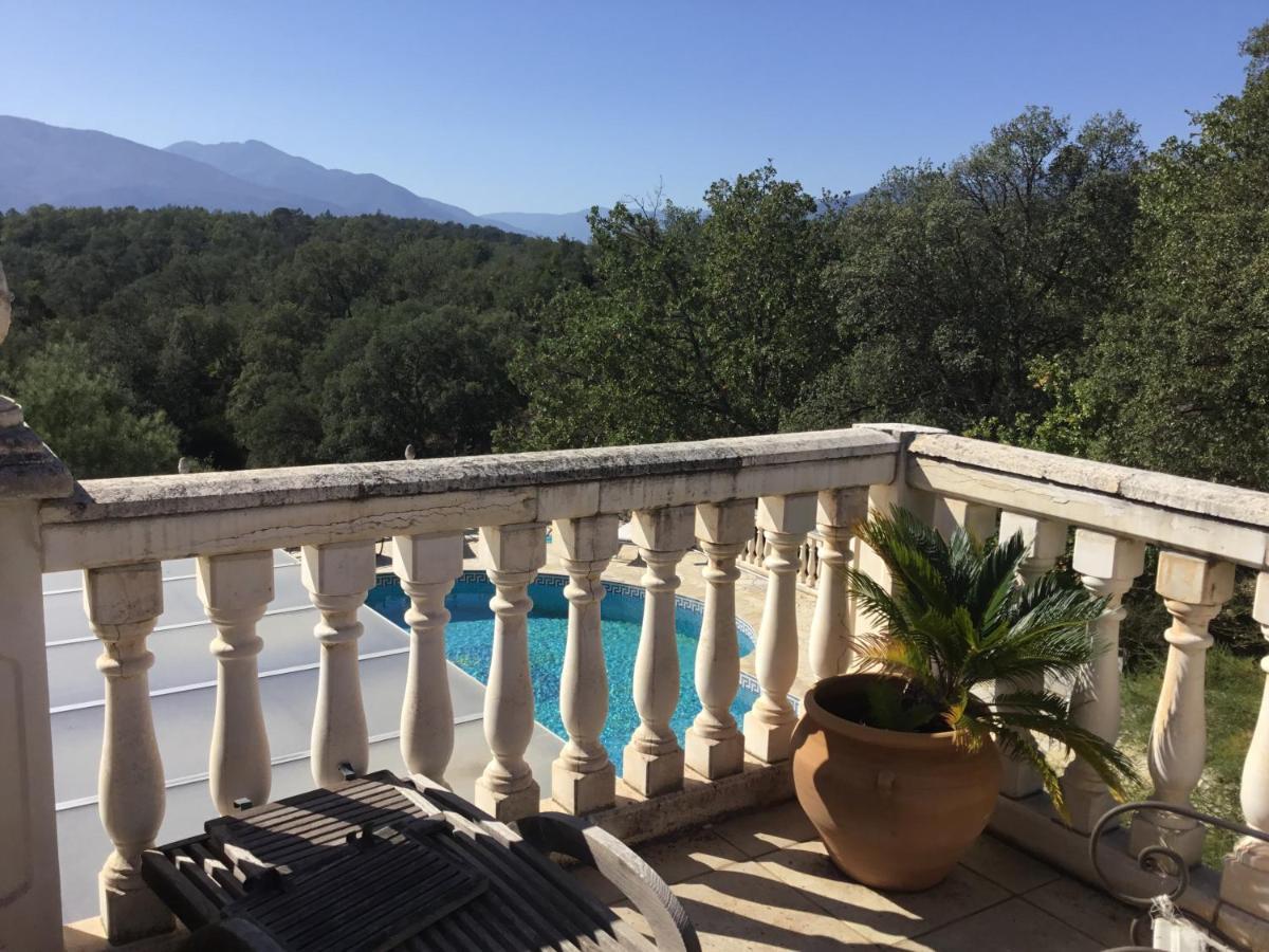 Villa La Cerisaie Céret Buitenkant foto